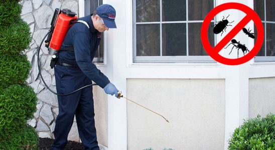 Artuklu Hamam Böceği İlaçlama böcek ilaçlama ve haşere kontrolü — ilaclama-tr.com